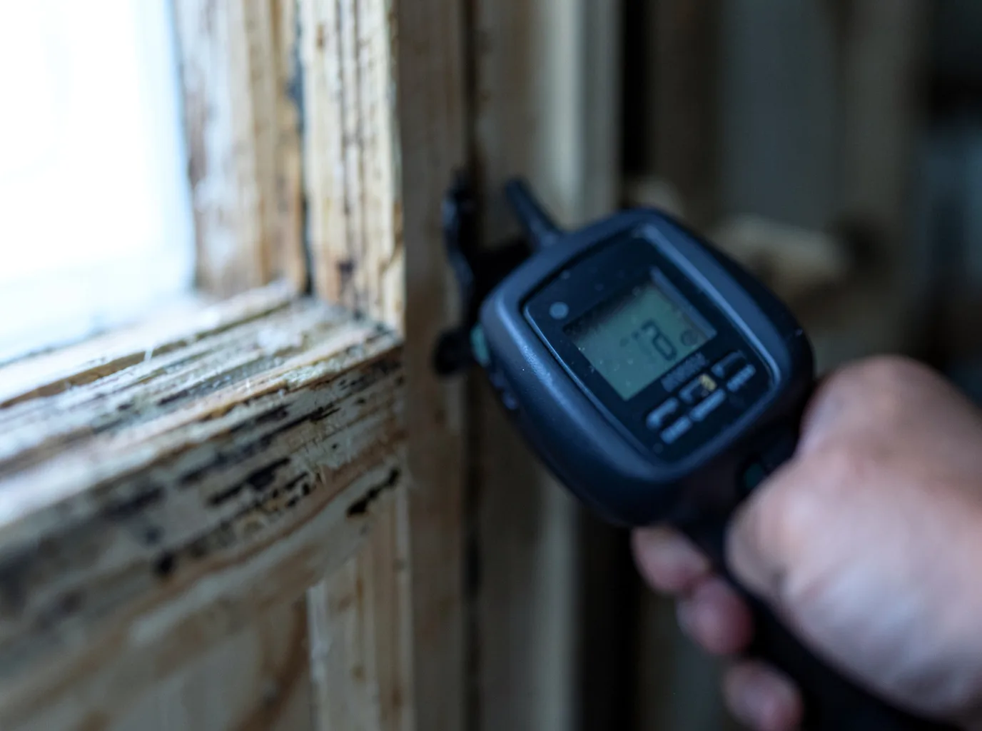 Moisture Inspection And Documentation in Dayton, NY